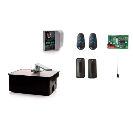 CAME FROG AE/1 moteur enterré 230V - Kit M