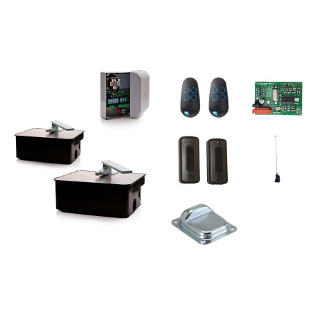 CAME FROG AE/2 moteur enterré 230V - Kit M