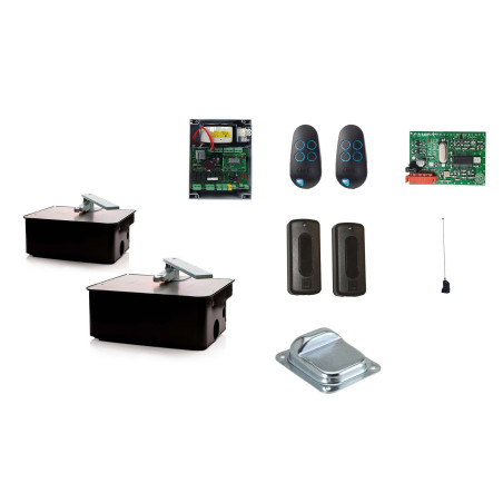 CAME FROG A24/2 moteur enterré 24 V - Kit M