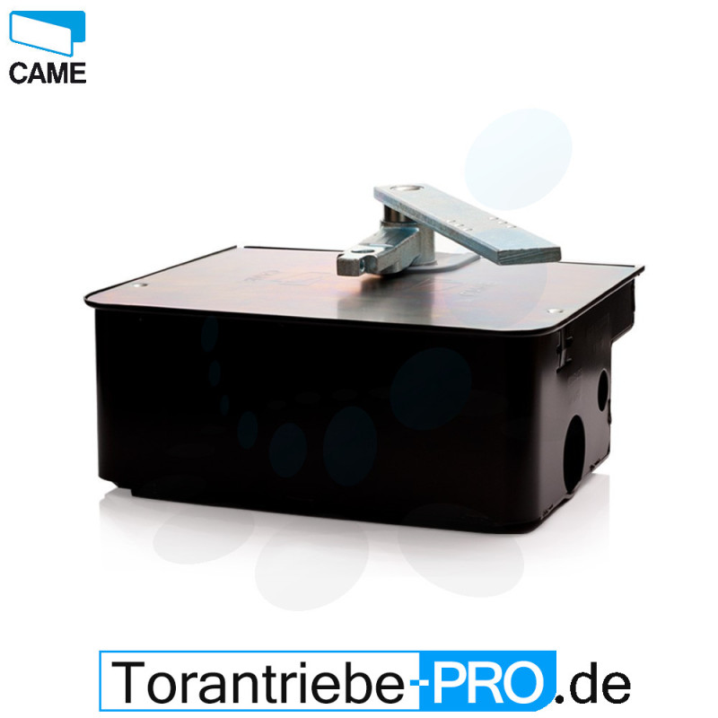 CAME FROG A24 moteur enterré 24 V avec caisson