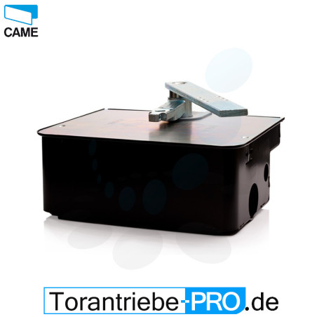 CAME FROG A24 moteur enterré 24 V avec caisson