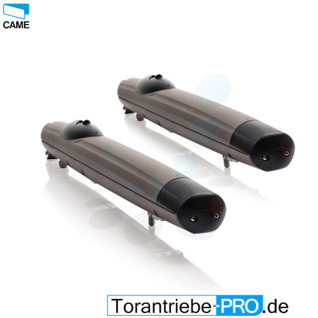 CAME AMICO Moteur 24V pour les portails battants