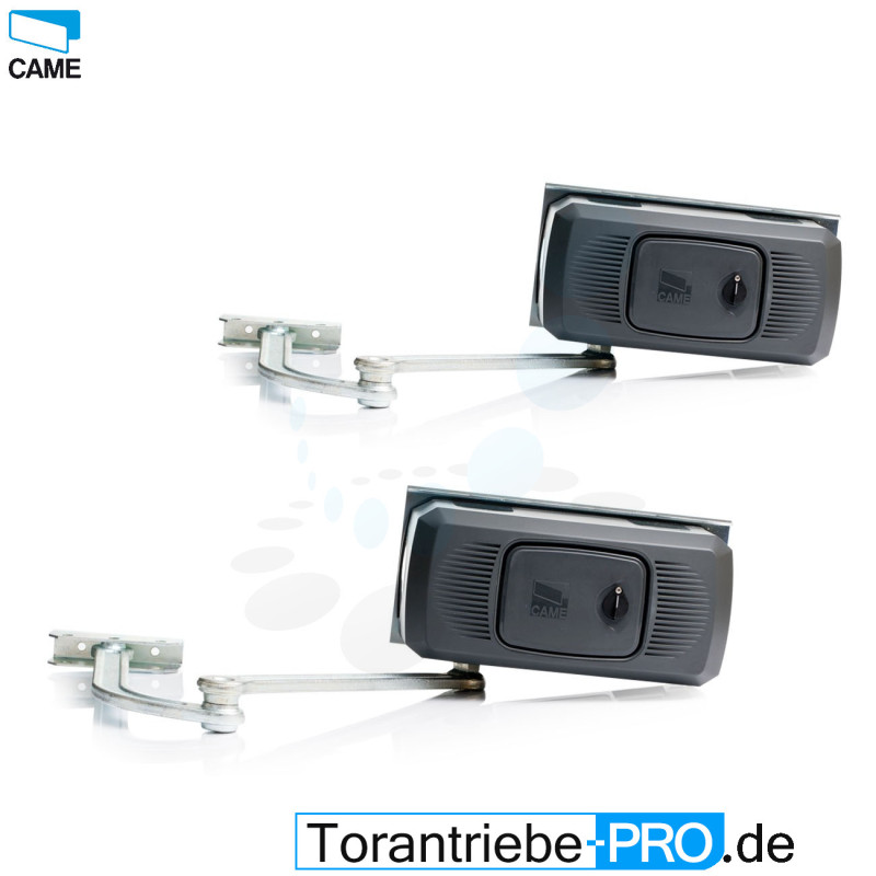 CAME FERNI 1024 Moteur 24V pour portails battants