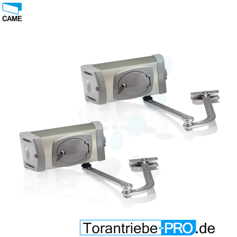 CAME FERNI 40230 Moteur 230V pour portails battants