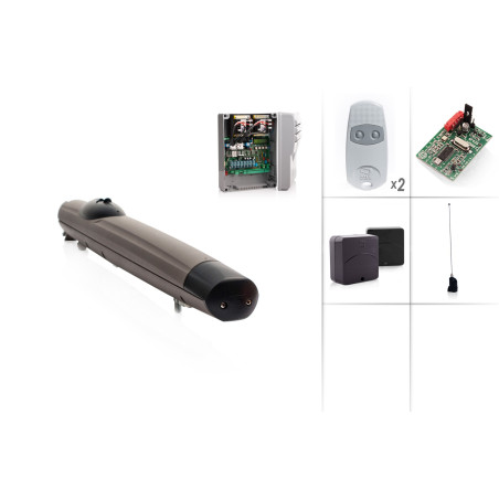 CAME AMICO/1 Kit de motorisation 24V - Kit M