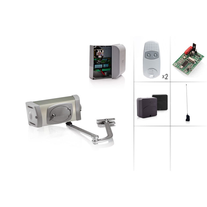 CAME FERNI 4024/1 Kit de motorisation 24V - Kit M