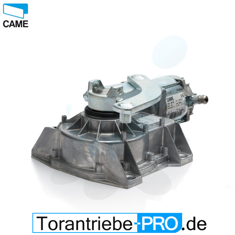 CAME FROG AV moteur enterré 230V sans caisson